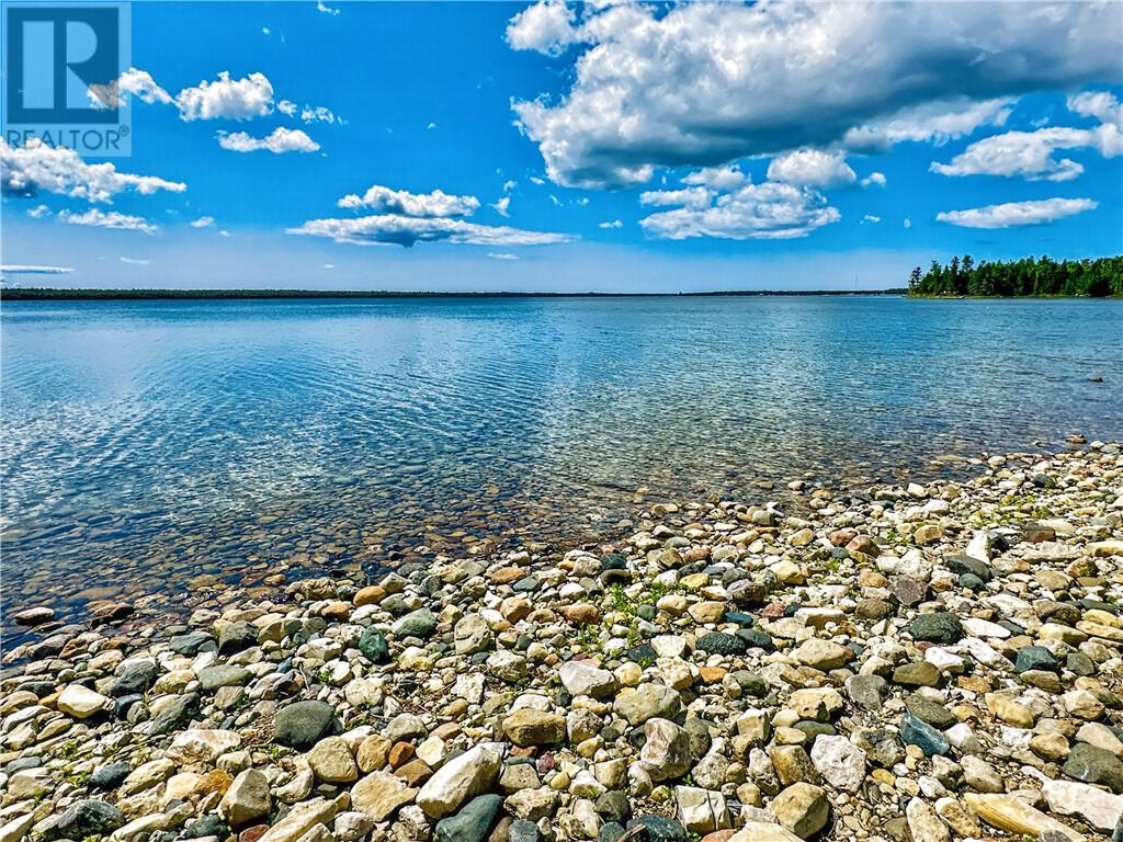 595 Lakeshore Road S, Tehkummah, Ontario  P0P 2C0 - Photo 52 - 2127805