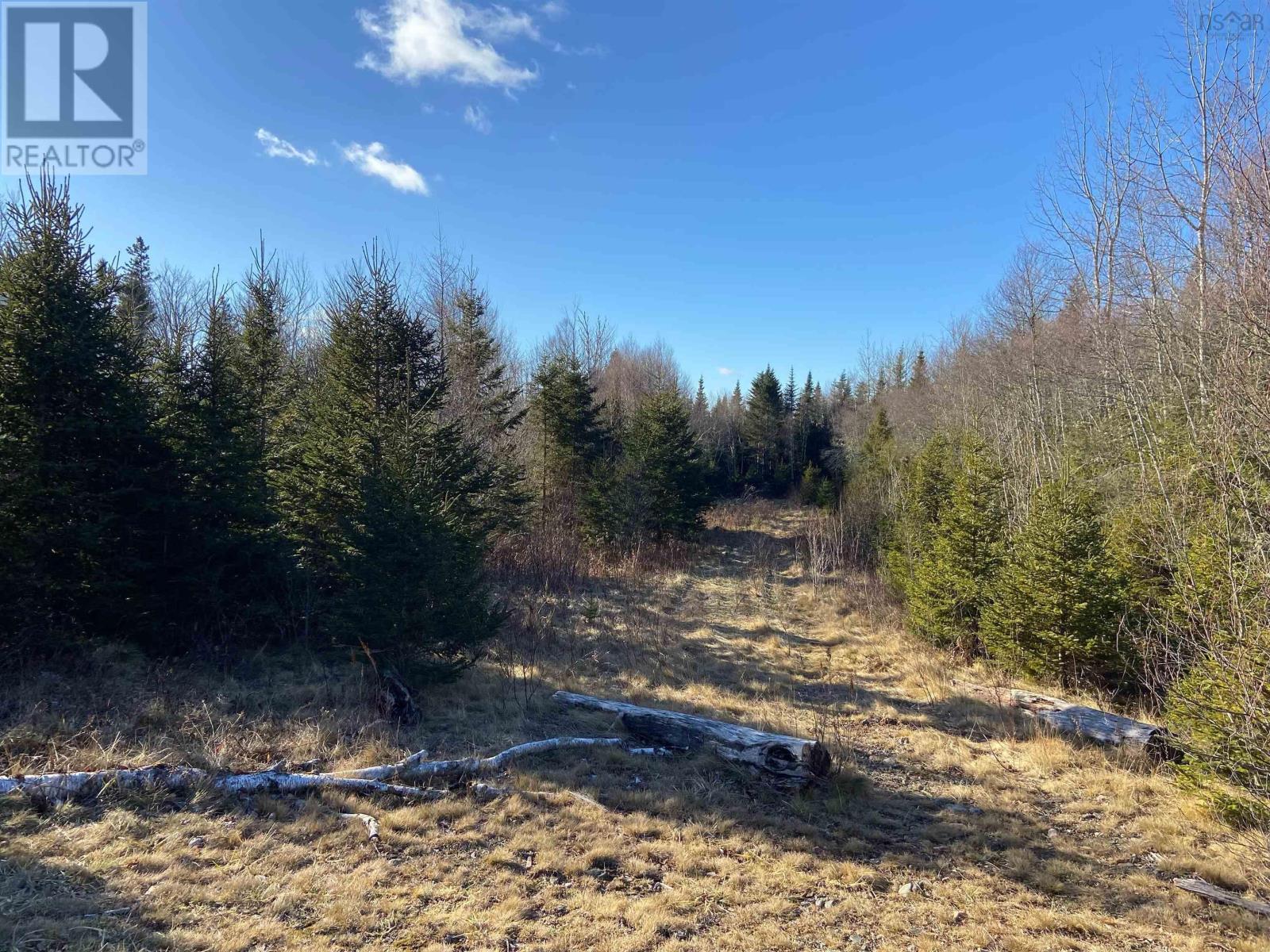 Greg Road, Greenfield, Nova Scotia B6L 3S3 - Photo 2 - 202301243