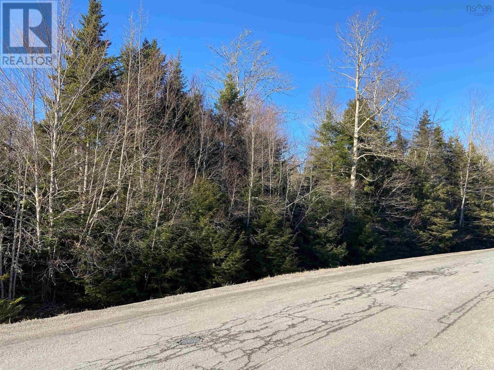 Greg Road, Greenfield, Nova Scotia B6L 3S3 - Photo 4 - 202301243