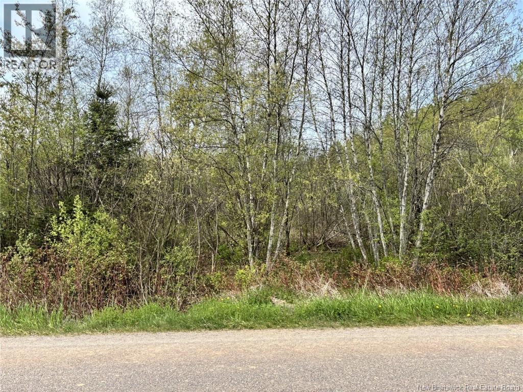 Lot Blakney Road, Killams Mills, New Brunswick  E4Z 2V1 - Photo 1 - NB139452