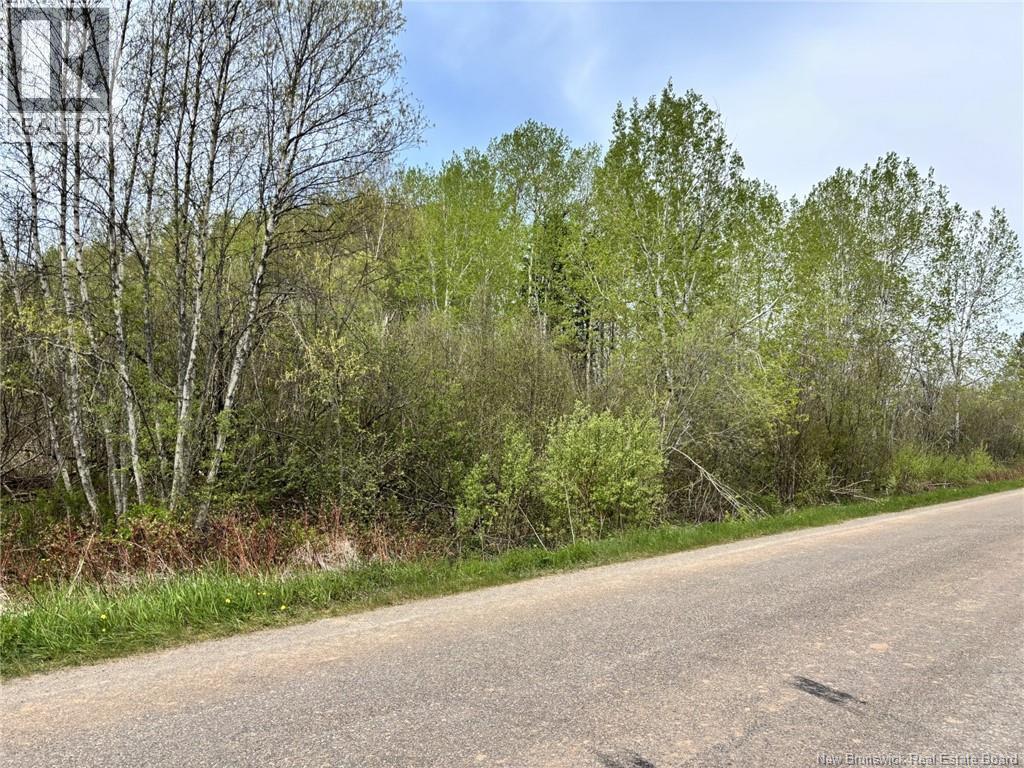 Lot Blakney Road, Killams Mills, New Brunswick  E4Z 2V1 - Photo 2 - NB139452