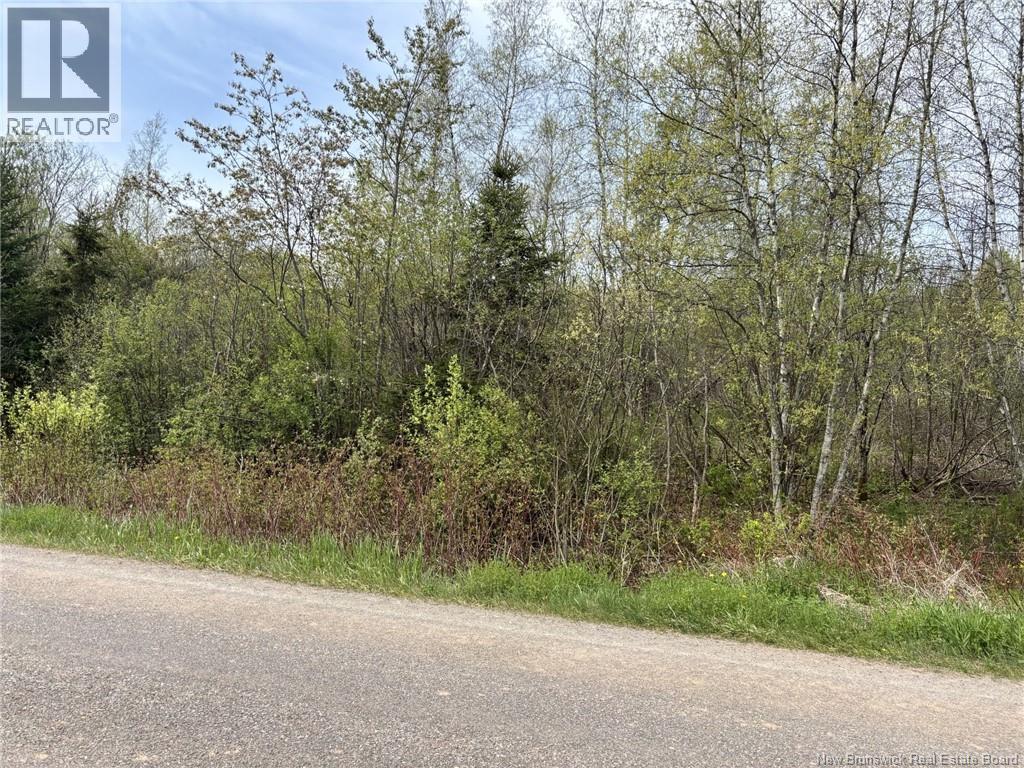 Lot Blakney Road, Killams Mills, New Brunswick  E4Z 2V1 - Photo 3 - NB139452