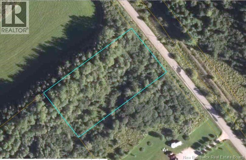 Lot Blakney Road, Killams Mills, New Brunswick  E4Z 2V1 - Photo 4 - NB139452