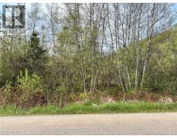 Lot Blakney Road, Killams Mills, New Brunswick