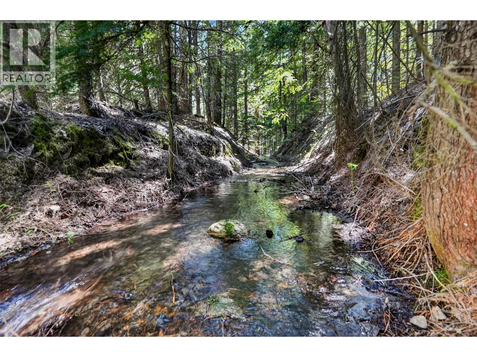Pcl A Highway 31, Howser, British Columbia  V0G 1N0 - Photo 13 - 10387145