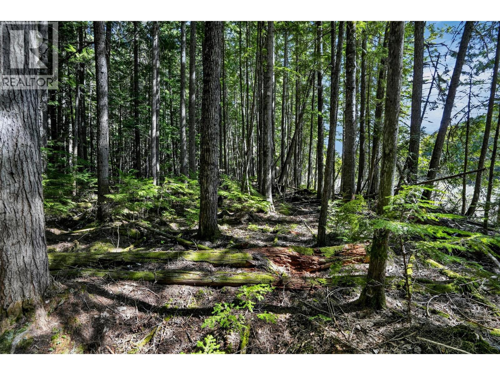 Pcl A Highway 31, Howser, British Columbia  V0G 1N0 - Photo 17 - 10387145