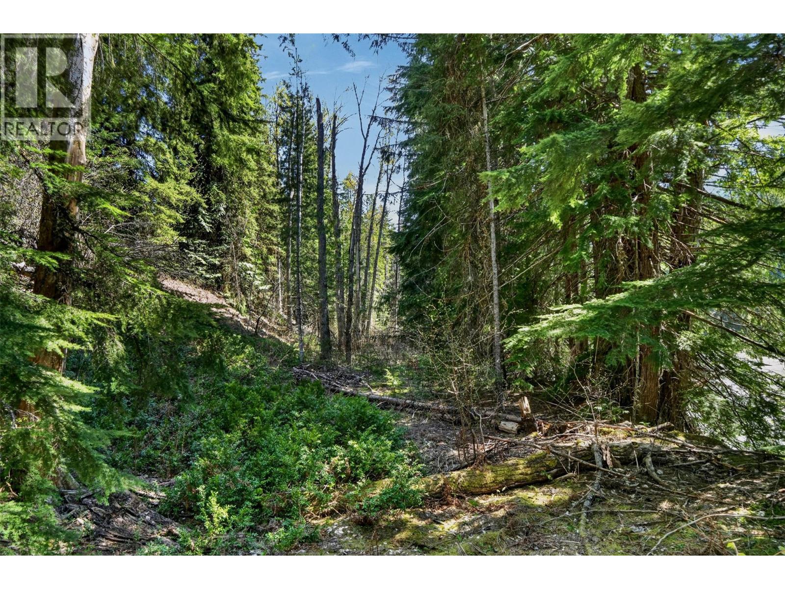 Pcl A Highway 31, Howser, British Columbia  V0G 1N0 - Photo 8 - 10387145