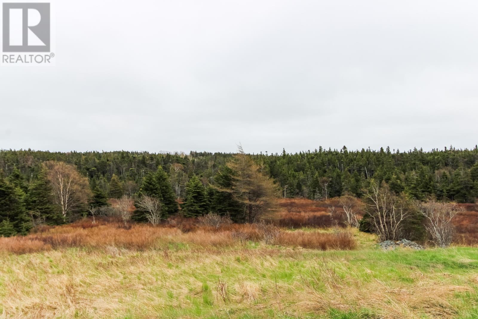 93 Convent Lane, Torbay, Newfoundland & Labrador  A1K 1B5 - Photo 39 - 1297628