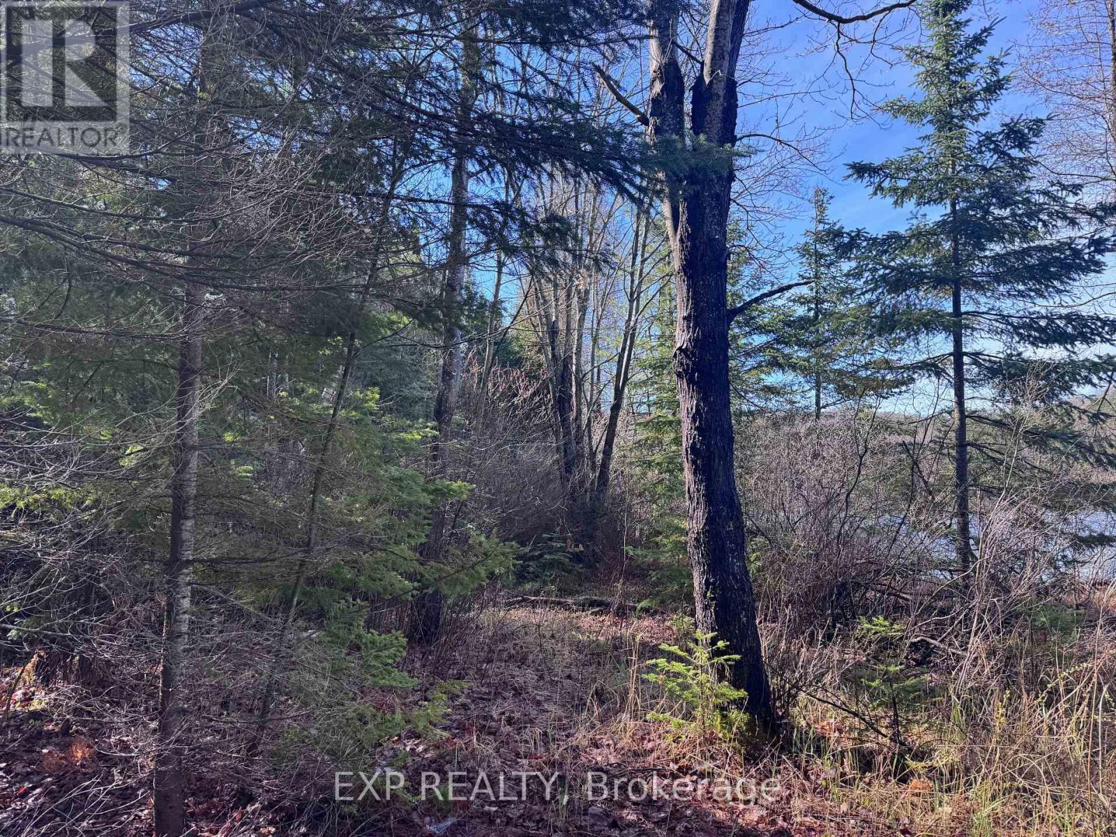 3395a Old Barry's Bay Road, Madawaska Valley, Ontario  K0J 1B0 - Photo 5 - X13135670