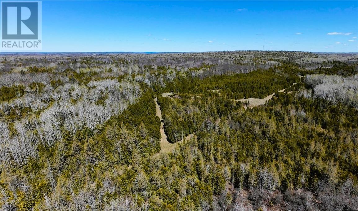 998 Emery Road, Gore Bay, Ontario P0P 1H0 - Photo 23 - 2127783