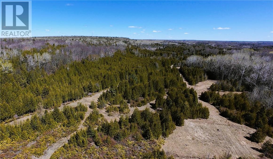 998 Emery Road, Gore Bay, Ontario P0P 1H0 - Photo 24 - 2127783