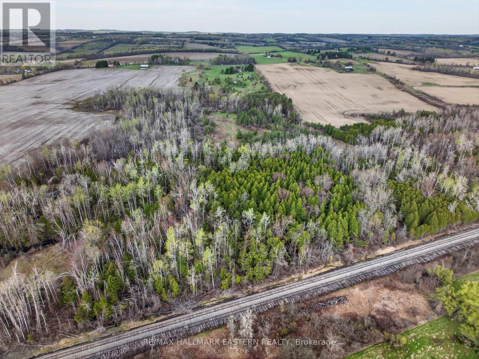 1229 Morton Line, Cavan Monaghan, Ontario  L0A 1C0 - Photo 47 - X13075004
