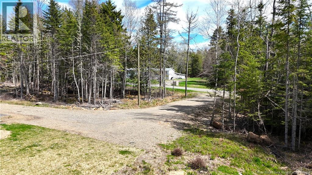 39 Harkness Road, Chamcook, New Brunswick  E5B 3E7 - Photo 32 - NB139598