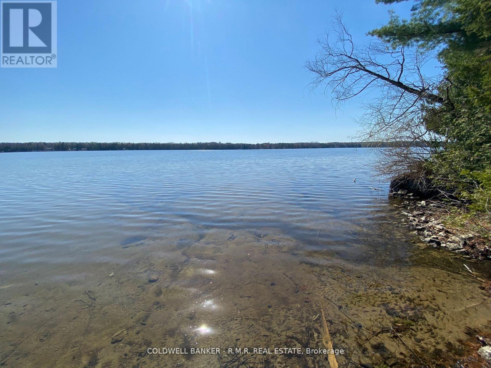 Lot 11 Pinewood Boulevard, Kawartha Lakes, Ontario  K0M 2T0 - Photo 6 - X13148368