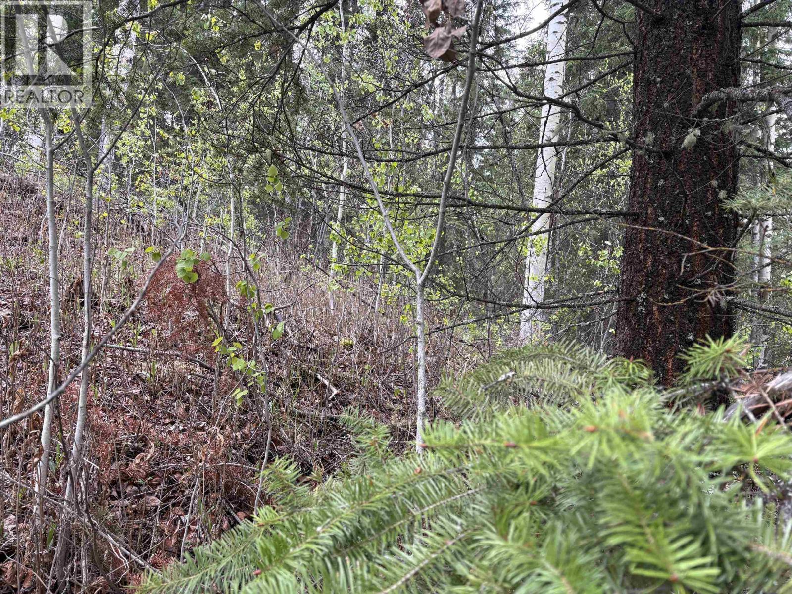Lot 26 Boultbee Road, Bridge Lake, British Columbia  V0K 2E3 - Photo 5 - R3106819
