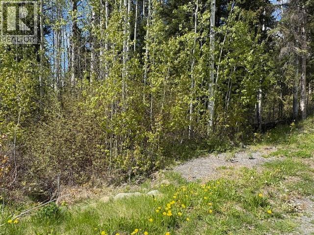Lot 26 Boultbee Road, Bridge Lake, British Columbia  V0K 2E3 - Photo 1 - R3106819