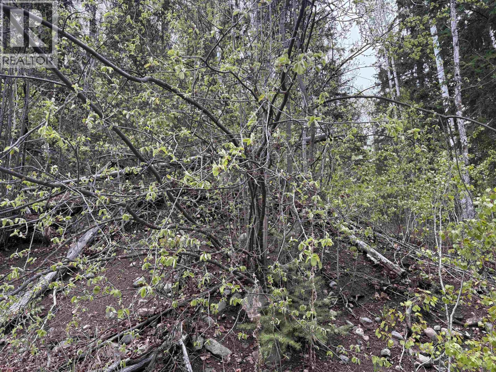 Lot 26 Boultbee Road, Bridge Lake, British Columbia  V0K 2E3 - Photo 4 - R3106819