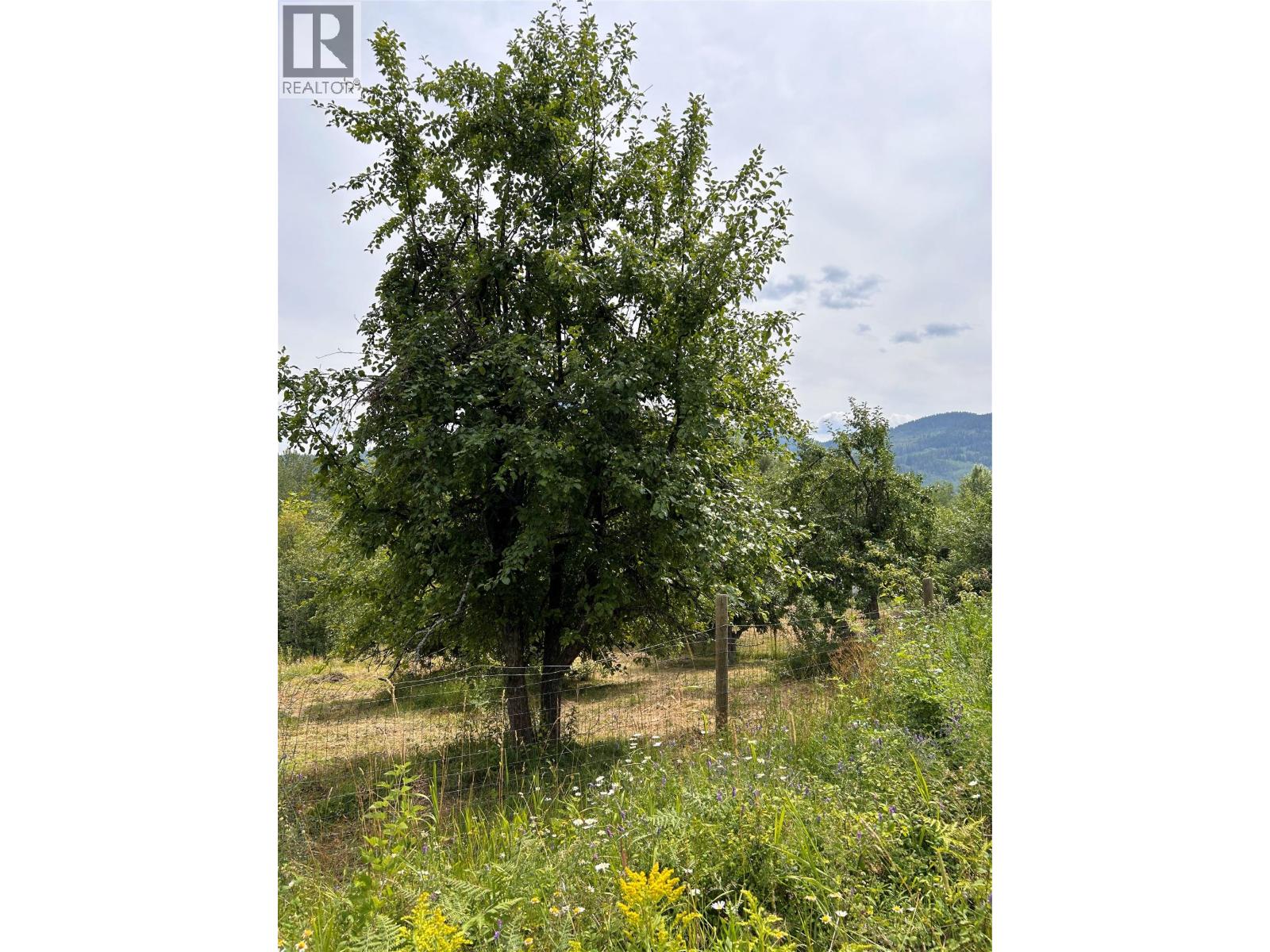 2715 3b Highway, Rossland, British Columbia  V0G 1Y0 - Photo 41 - 10356557