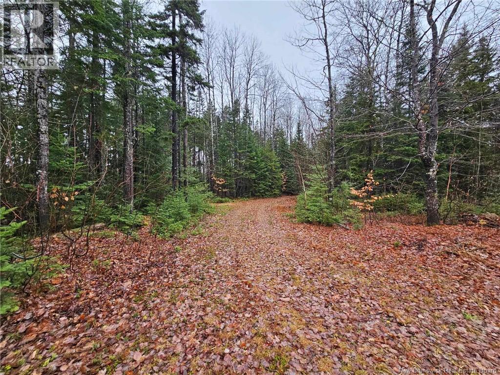 940 Nepisiguit Falls, Nepisiguit Falls, New Brunswick  E2A 6W8 - Photo 5 - NB139878