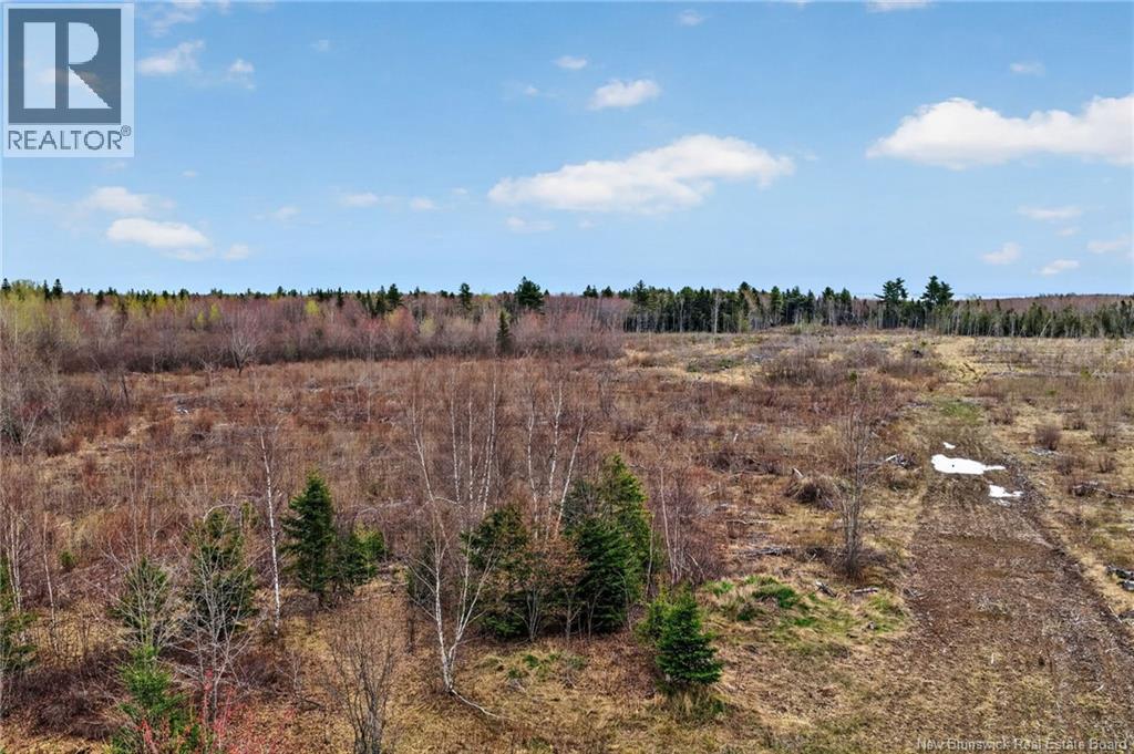 Lot Perry Road, Saint-Edouard-De-Kent, New Brunswick  E4S 4T2 - Photo 6 - NB118565