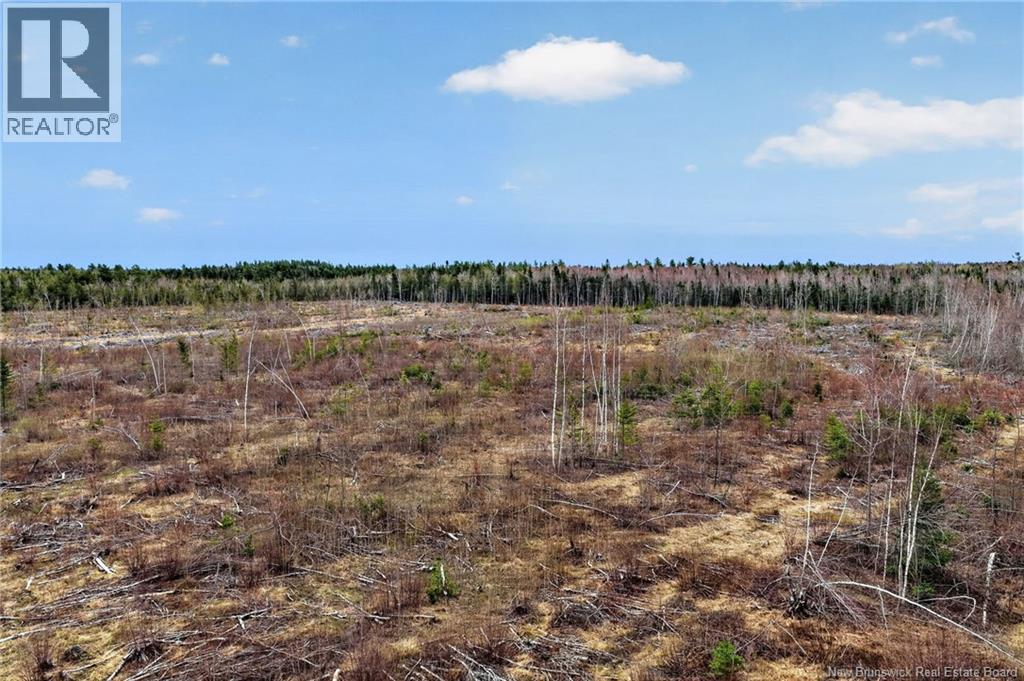Lot Perry Road, Saint-Edouard-De-Kent, New Brunswick  E4S 4T2 - Photo 7 - NB118565