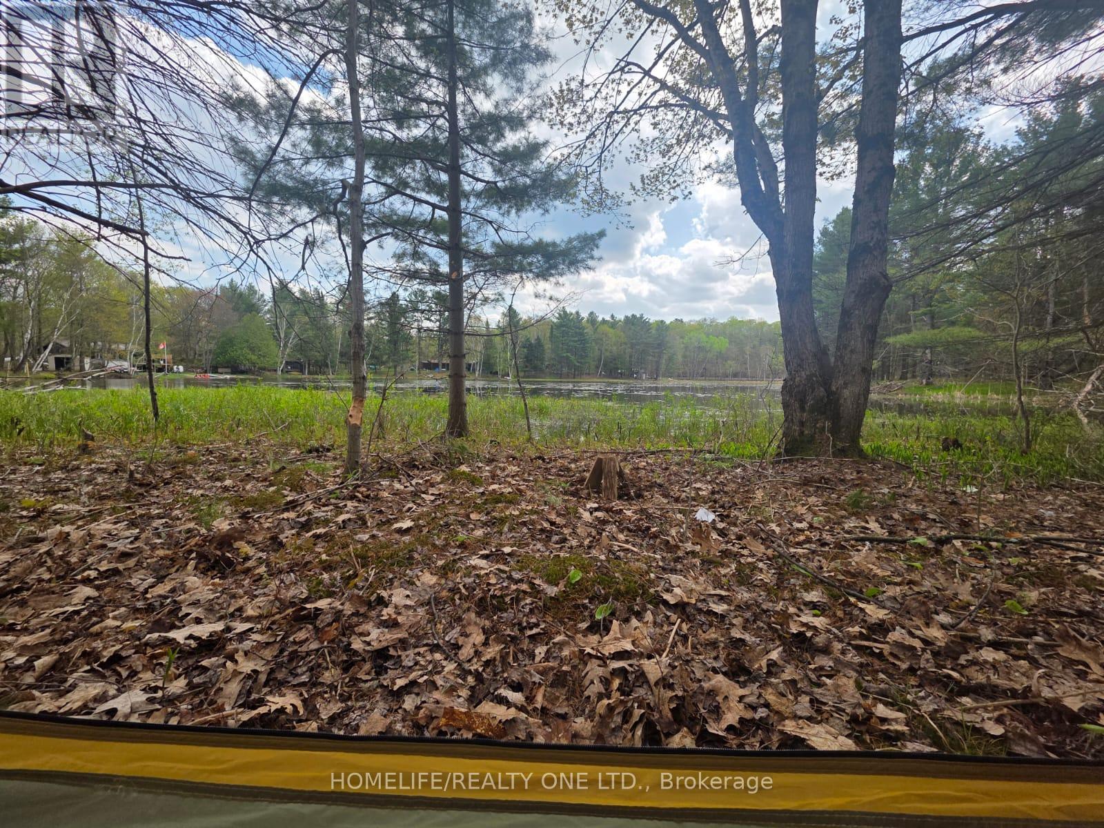0 Village 1 Road, Muskoka Lakes, Ontario  P0B 1M0 - Photo 10 - X13148248