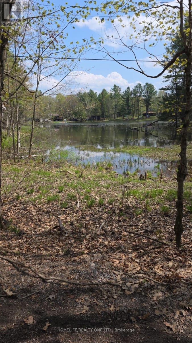 0 Village 1 Road, Muskoka Lakes, Ontario  P0B 1M0 - Photo 12 - X13148248