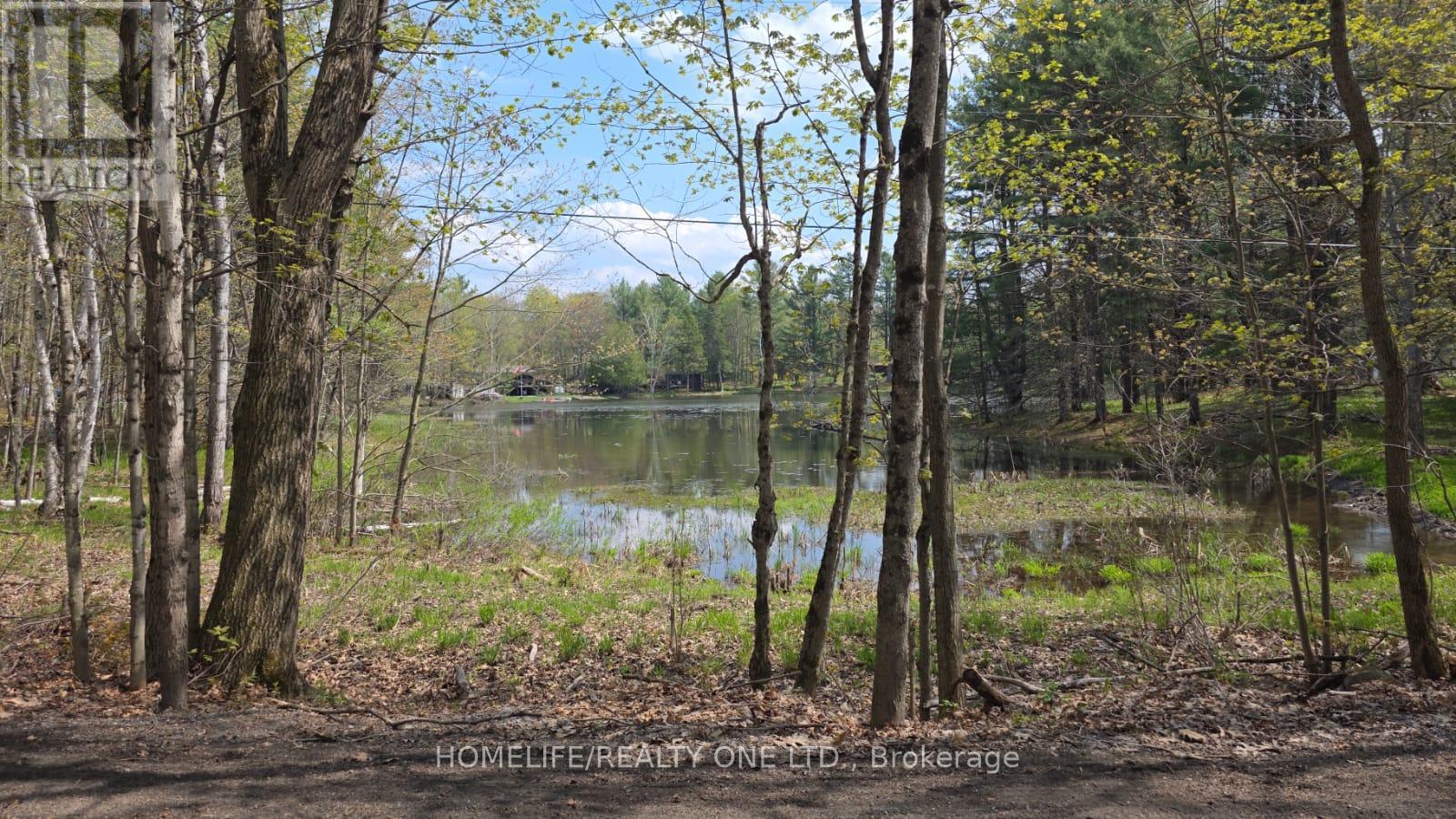 0 Village 1 Road, Muskoka Lakes, Ontario  P0B 1M0 - Photo 13 - X13148248