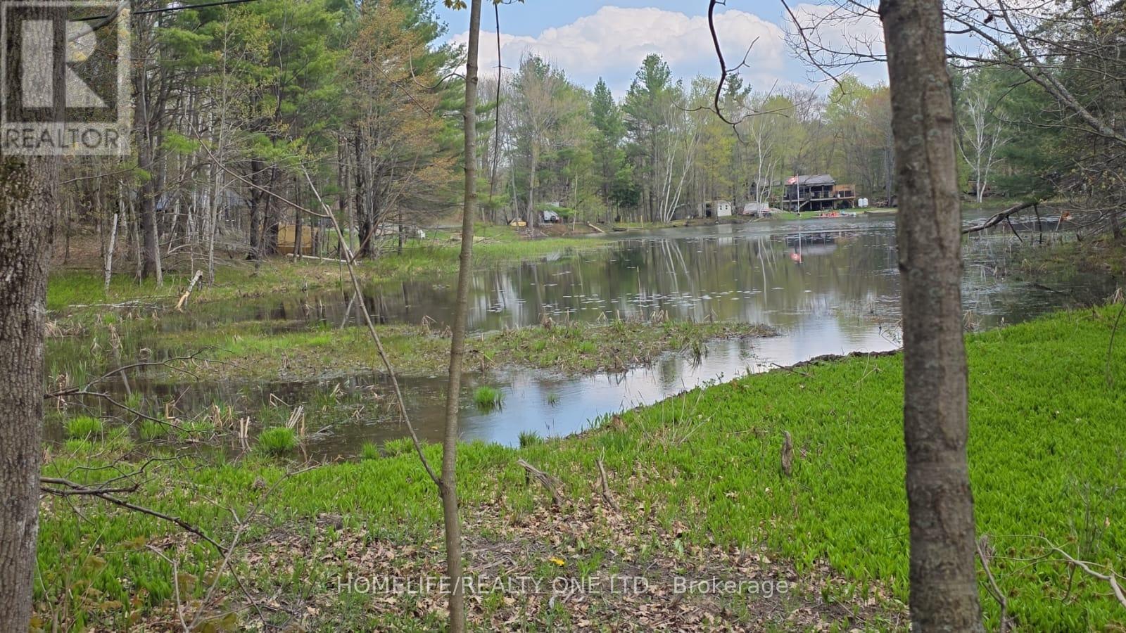 0 Village 1 Road, Muskoka Lakes, Ontario  P0B 1M0 - Photo 14 - X13148248