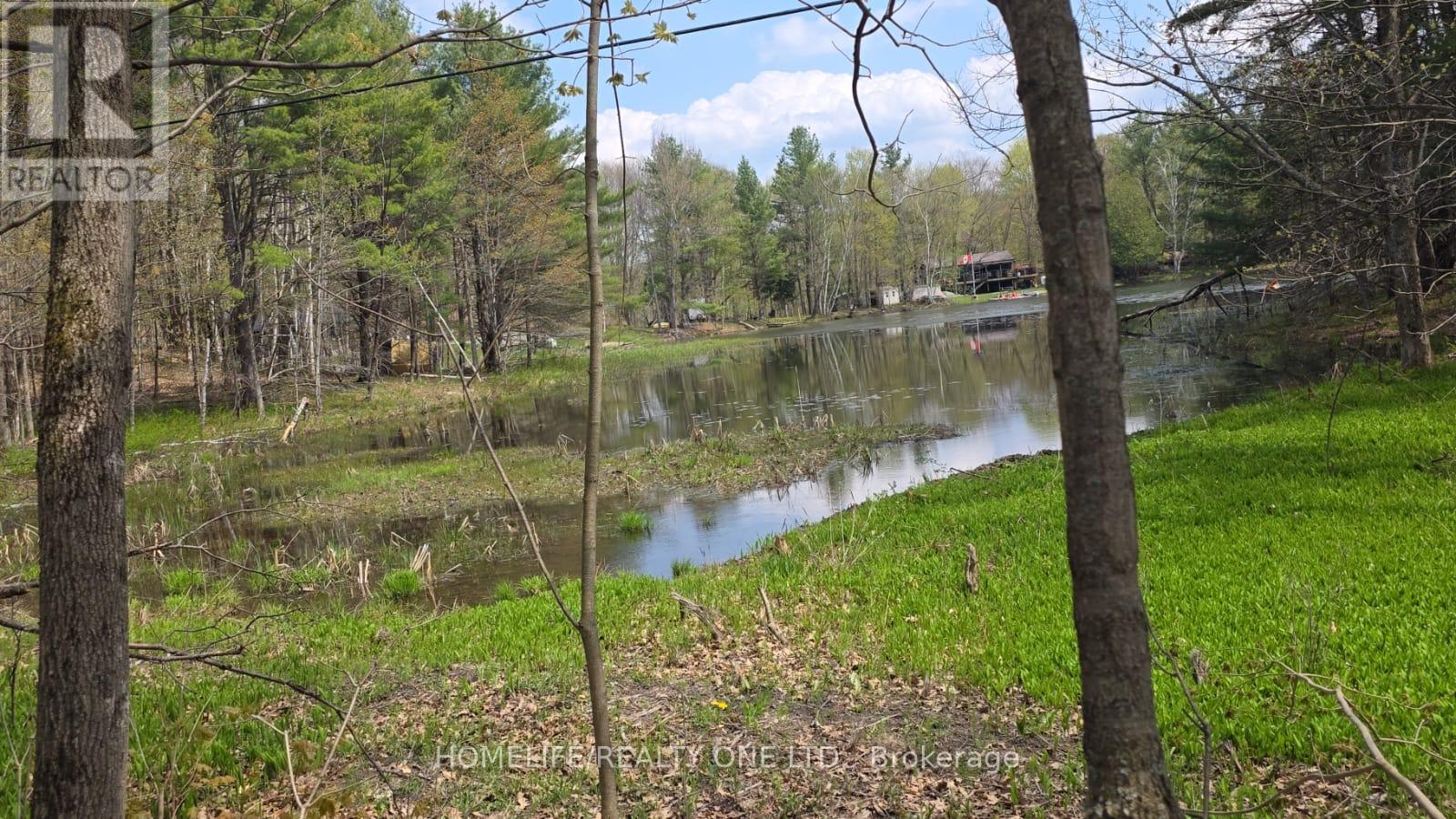 0 Village 1 Road, Muskoka Lakes, Ontario  P0B 1M0 - Photo 15 - X13148248