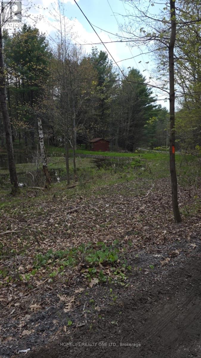 0 Village 1 Road, Muskoka Lakes, Ontario  P0B 1M0 - Photo 17 - X13148248
