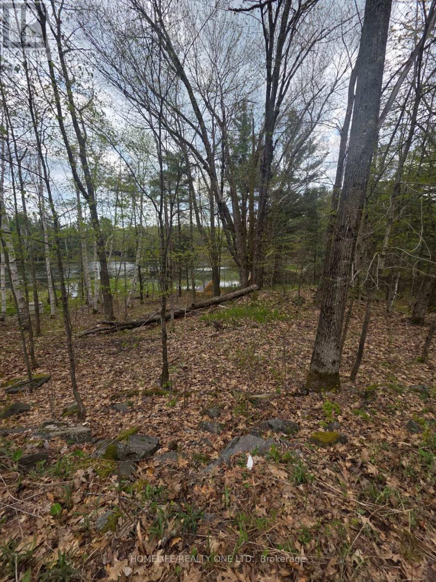 0 Village 1 Road, Muskoka Lakes, Ontario  P0B 1M0 - Photo 23 - X13148248
