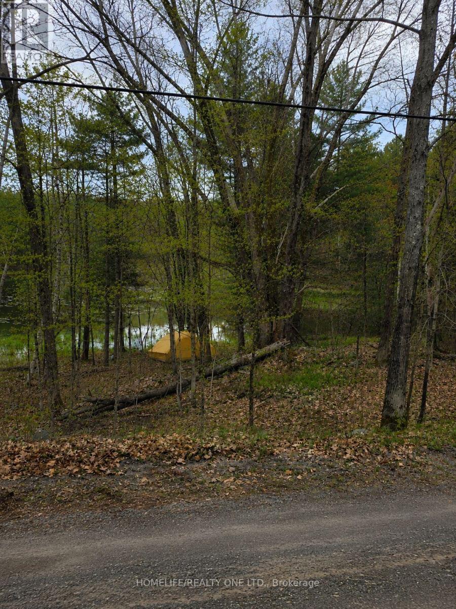 0 Village 1 Road, Muskoka Lakes, Ontario  P0B 1M0 - Photo 4 - X13148248