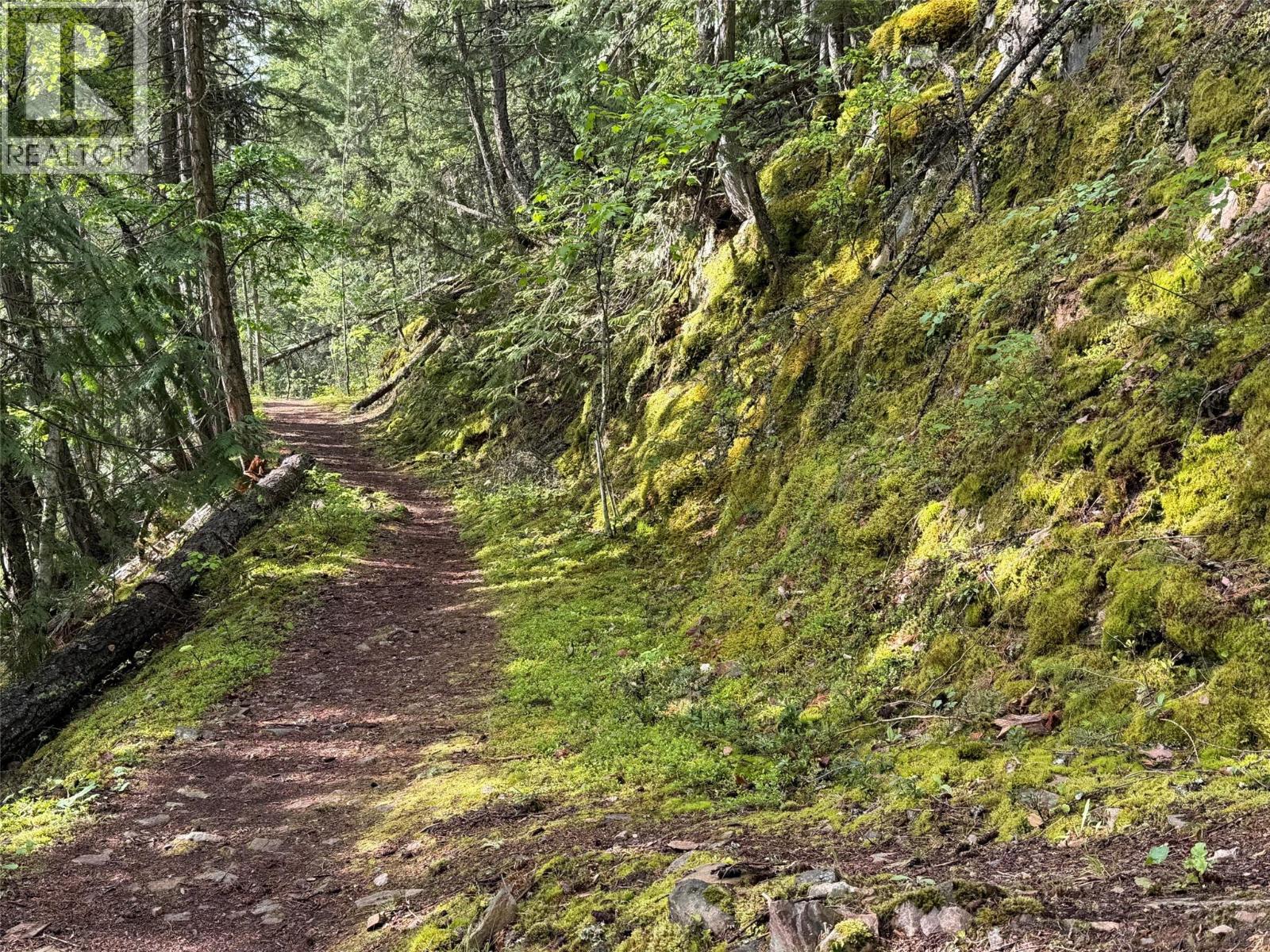 4926 Fletcher Creek Road, Kaslo, British Columbia  V0G 1M0 - Photo 62 - 10385835