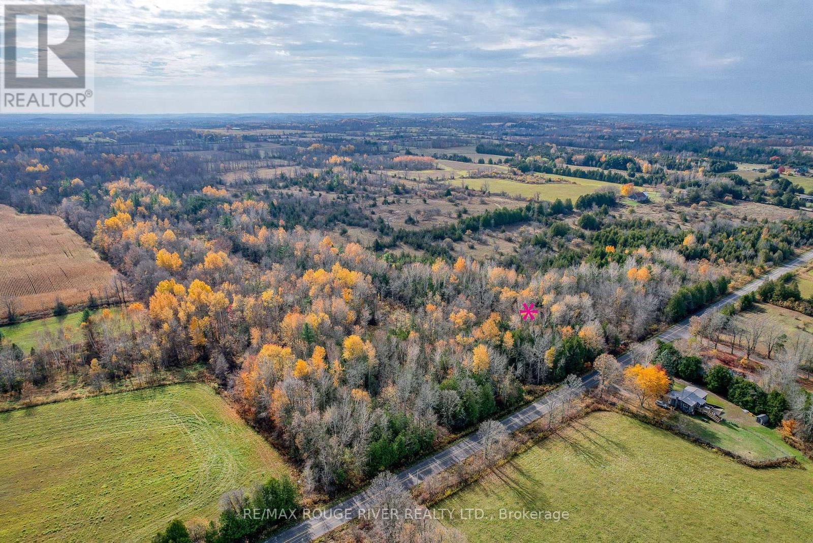 00 11th Line West, Trent Hills, Ontario  K0L 1L0 - Photo 6 - X13148564