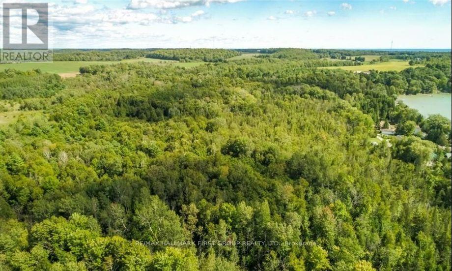 0 Trenear Road N, Cramahe, Ontario  K0K 1S0 - Photo 10 - X13148724