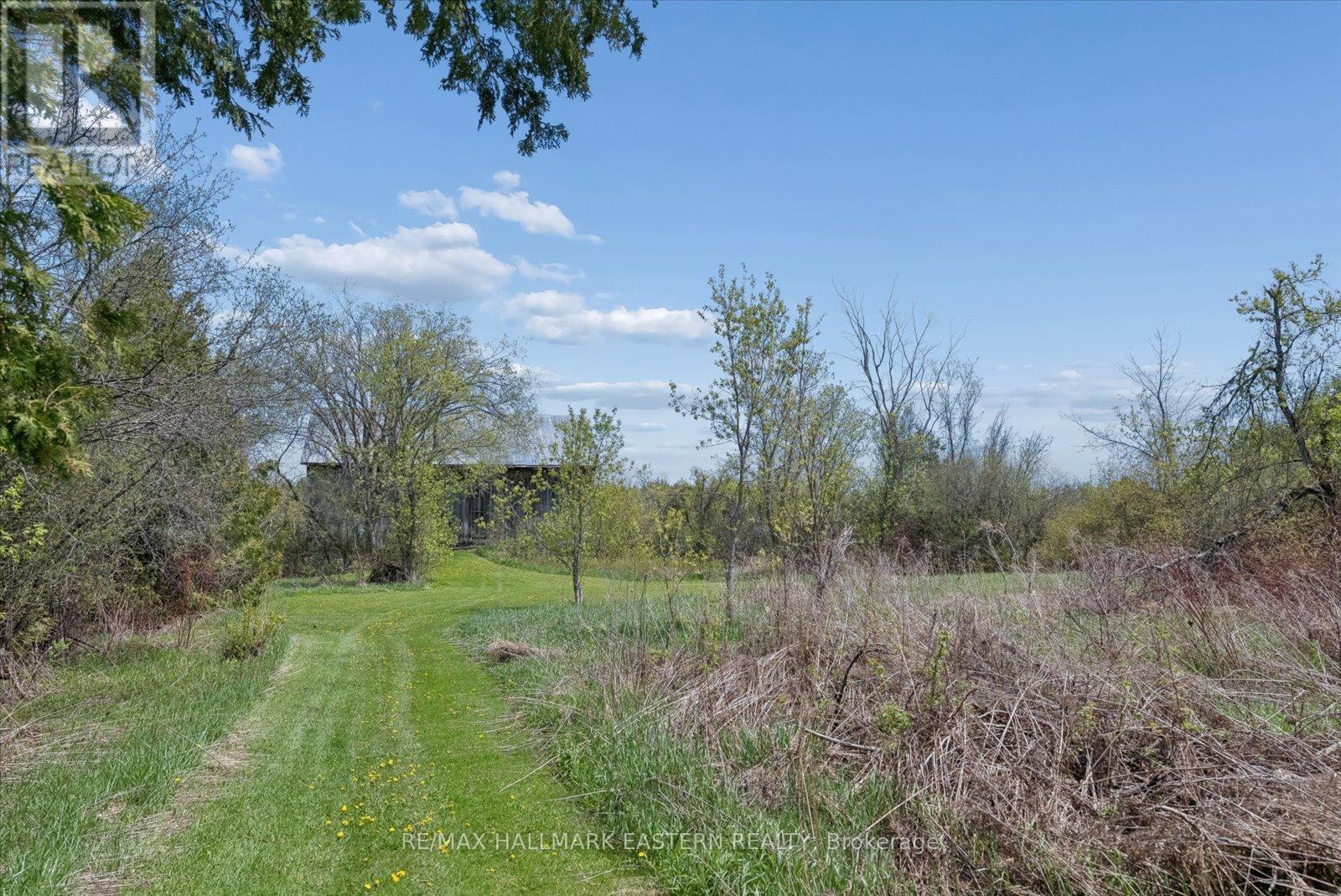 906 Mount Horeb Road, Kawartha Lakes, Ontario  K0L 2W0 - Photo 46 - X13148830