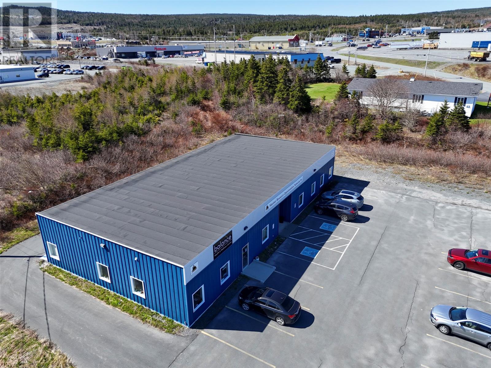 22 Goff Avenue, Carbonear, Newfoundland & Labrador  A1Y 1A1 - Photo 7 - 1297703