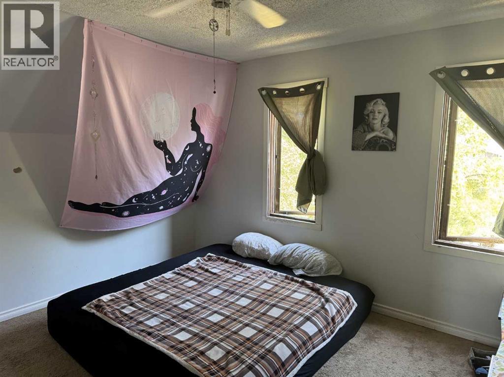 5228 48 Street, Provost, Alberta  T0B 3S0 - Photo 17 - A2249155