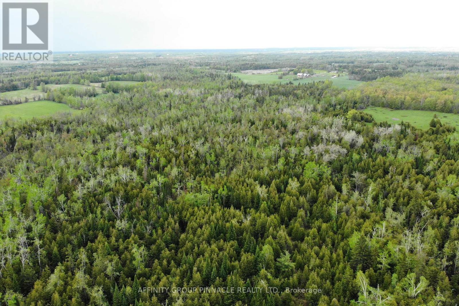 19 Patterson Road, Kawartha Lakes, Ontario  K0M 1N0 - Photo 10 - X13148870