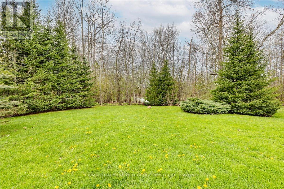 94 Riverview Beach Road, Georgina, Ontario  L0E 1N0 - Photo 36 - N13148994