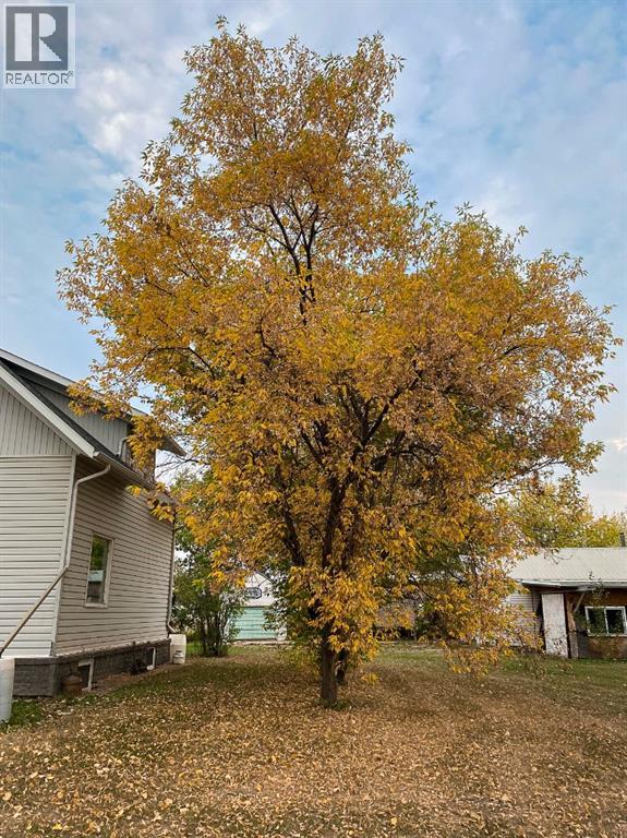 131 2nd Street NW, Falher, Alberta  T0H 1M0 - Photo 31 - A2261033