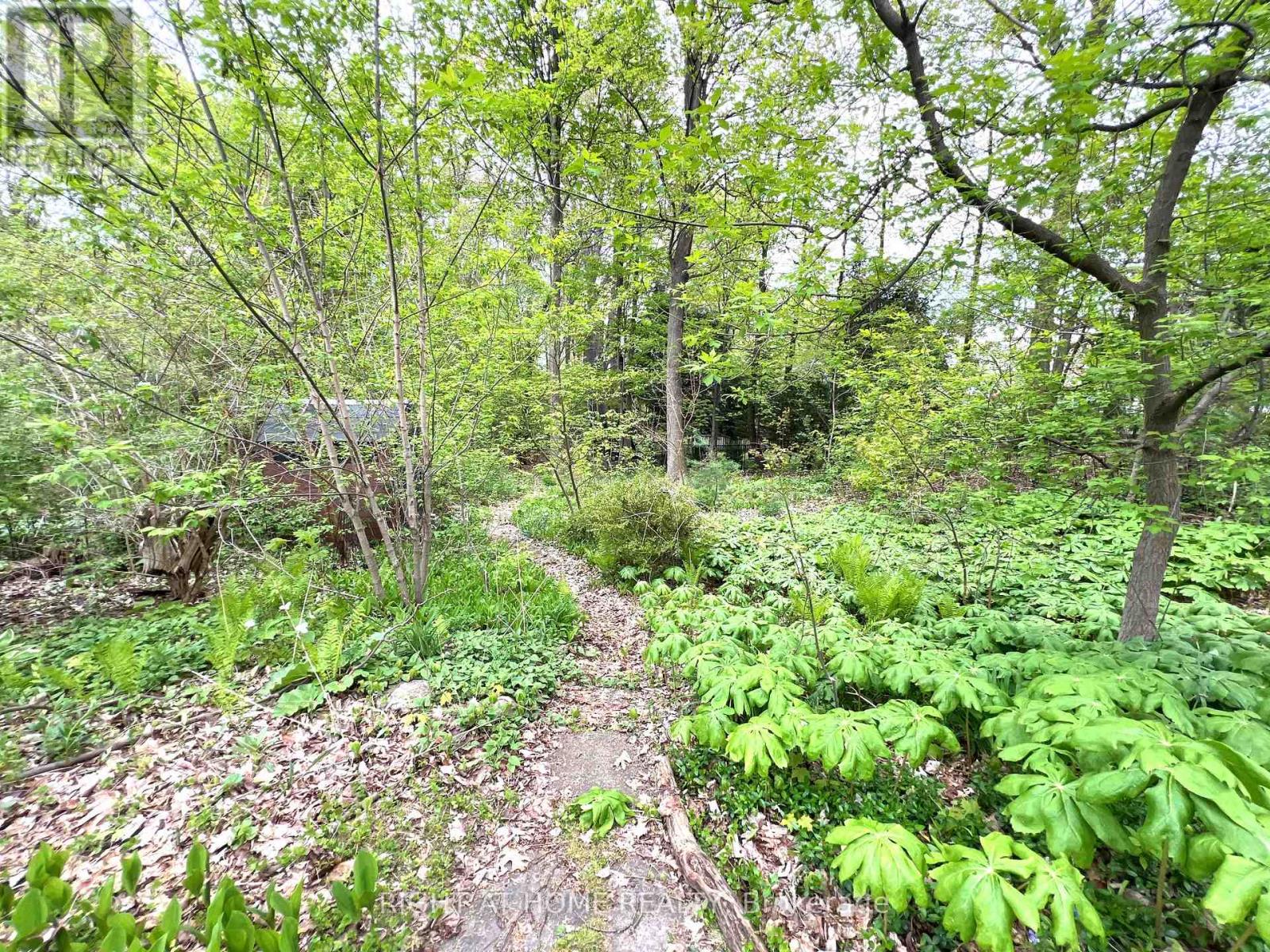 1445 Ryan Place, Mississauga, Ontario L5C 1J7 - Photo 40 - W12982972