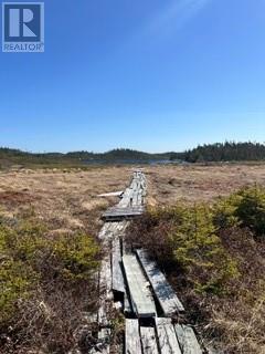597 Salmonier Line, Holyrood, Newfoundland & Labrador  A0A 2R0 - Photo 12 - 1297642