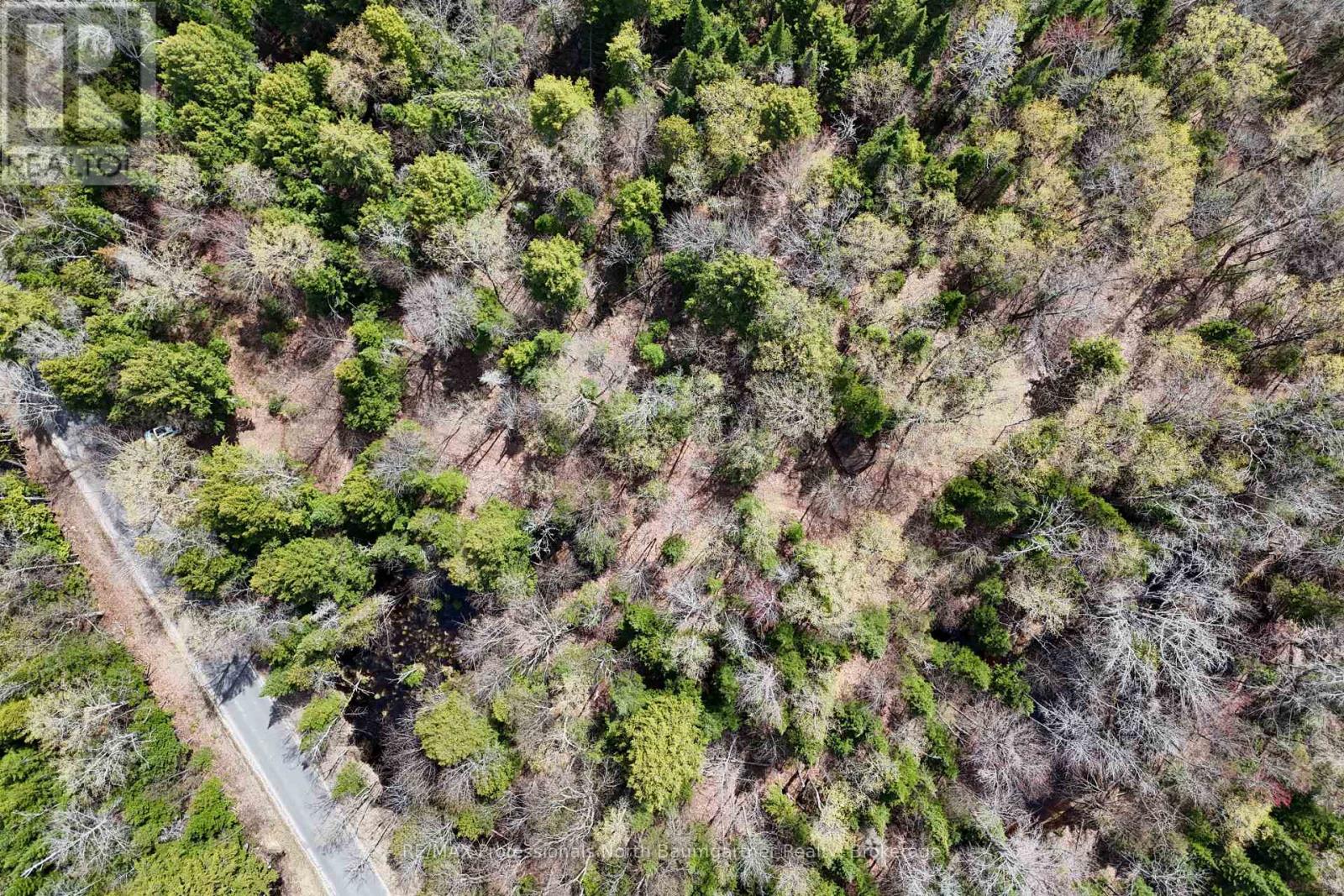 0 Lochlin Road, Minden Hills, Ontario K0M 1S0 - Photo 1 - X13149738