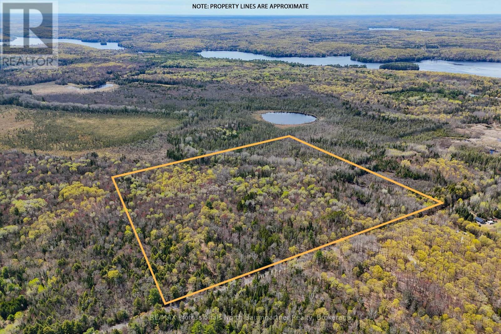 0 Lochlin Road, Minden Hills, Ontario K0M 1S0 - Photo 10 - X13149738