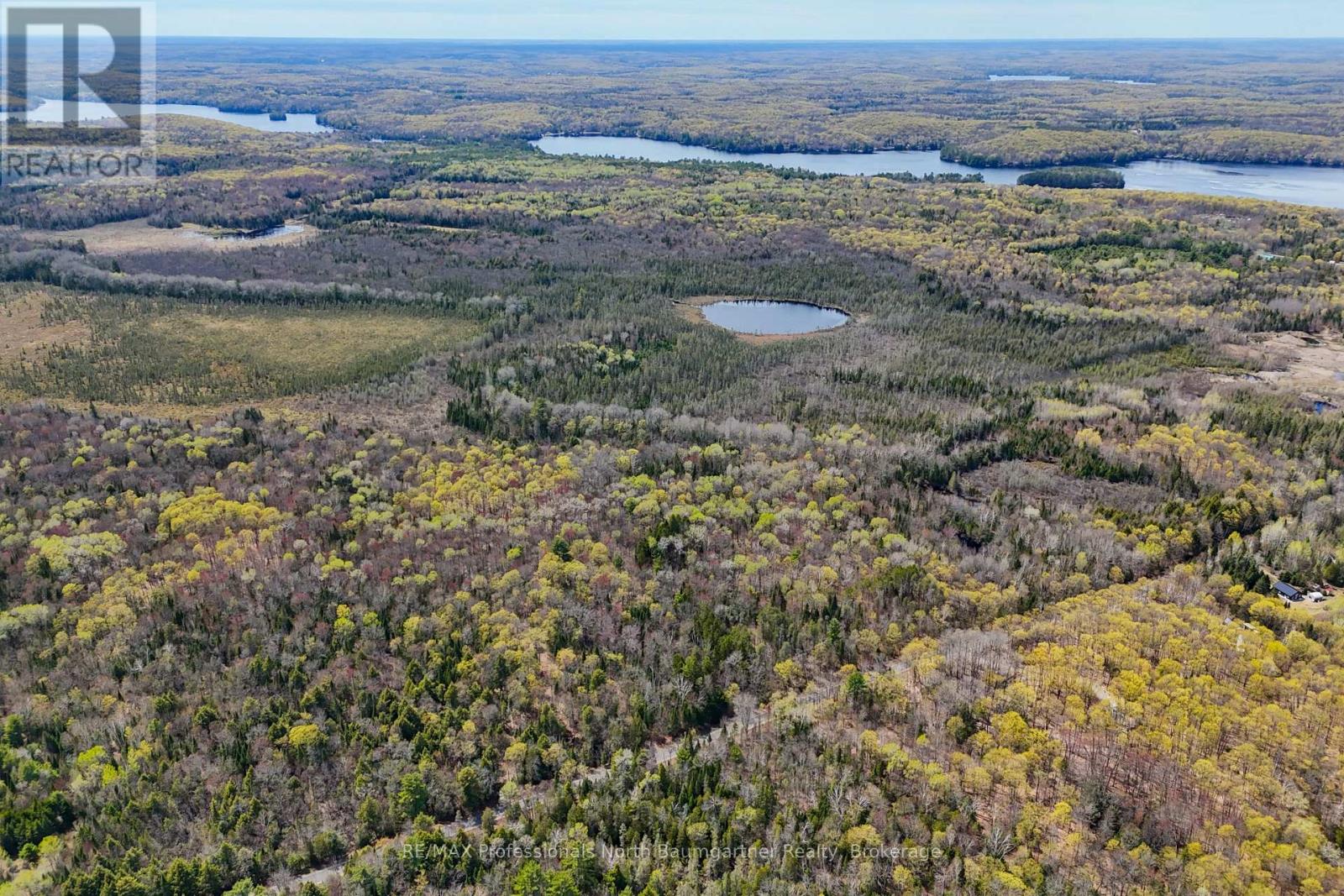 0 Lochlin Road, Minden Hills, Ontario K0M 1S0 - Photo 11 - X13149738