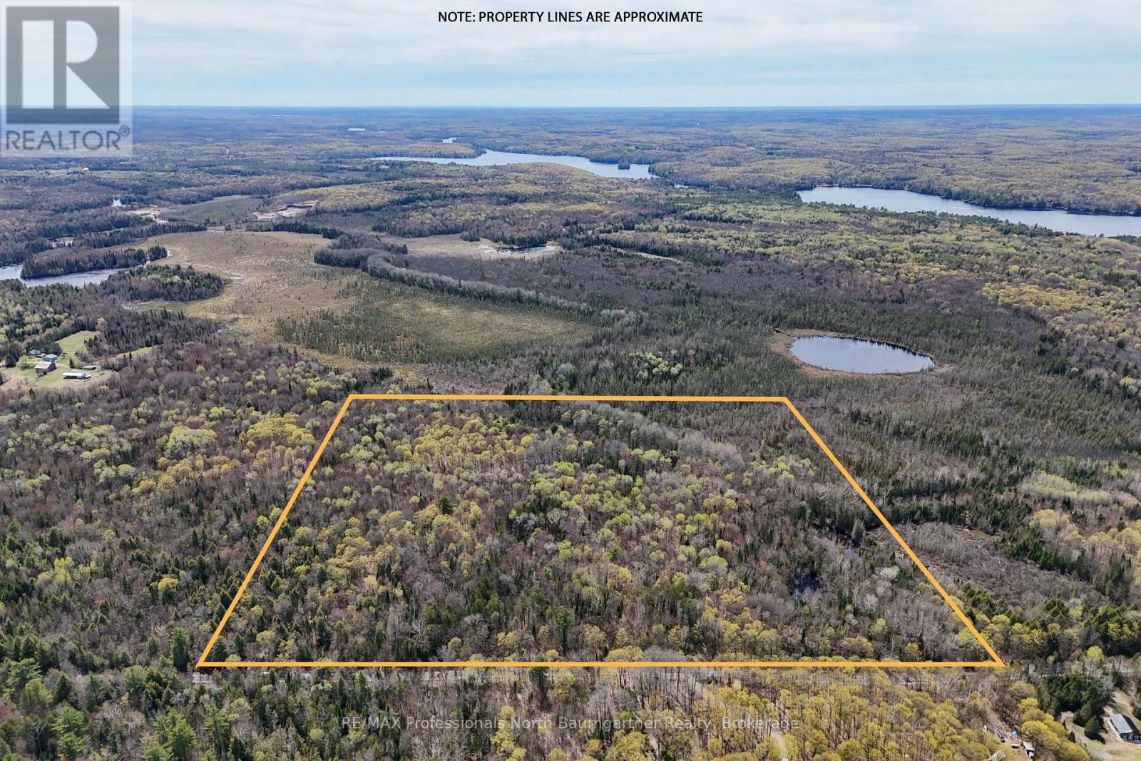 0 Lochlin Road, Minden Hills, Ontario K0M 1S0 - Photo 12 - X13149738