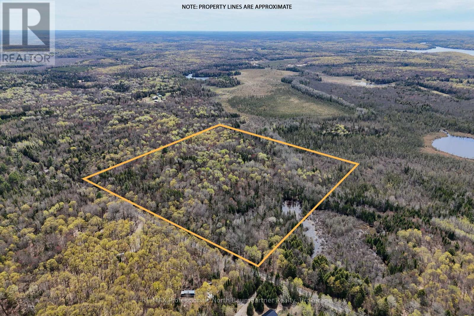 0 Lochlin Road, Minden Hills, Ontario K0M 1S0 - Photo 13 - X13149738