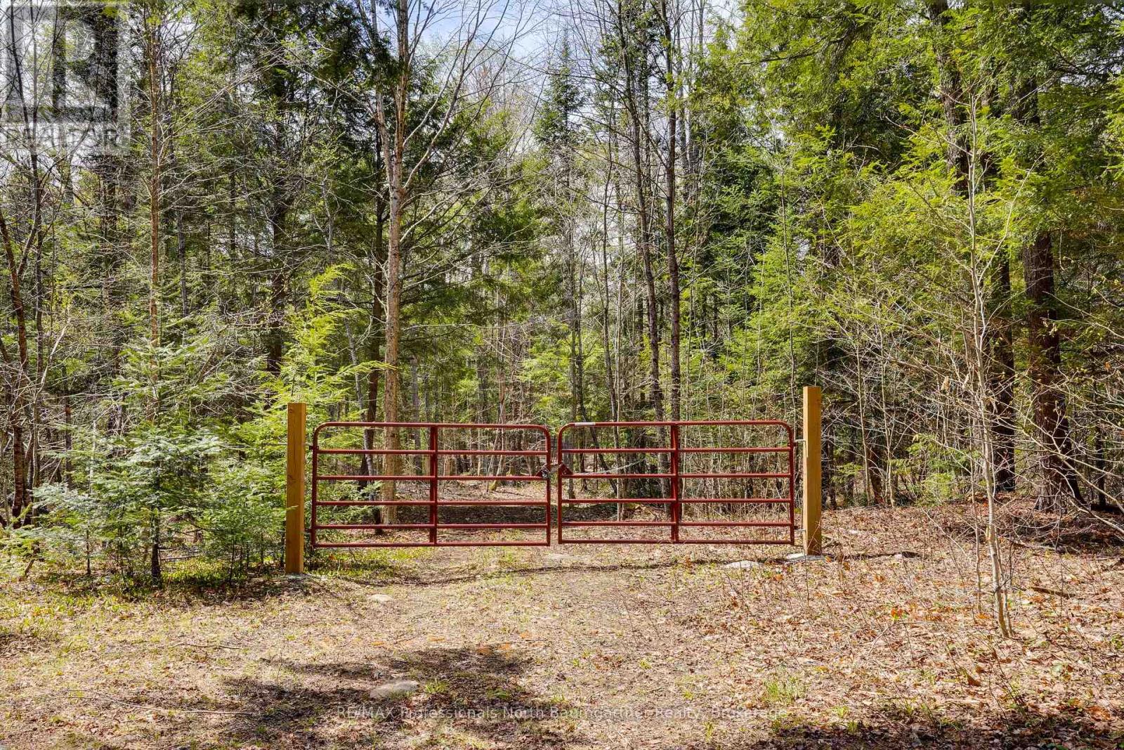 0 Lochlin Road, Minden Hills, Ontario K0M 1S0 - Photo 3 - X13149738
